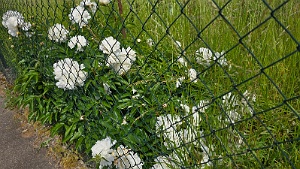 20250521_153148 prisonnieres